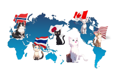 world-map
